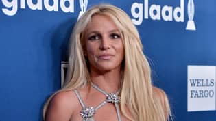 粉丝们质疑布兰妮·斯皮尔斯（Britney Spears）的裸体照片是否真的是她