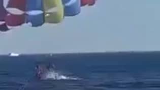 可怕的镜头显示鲨鱼跳出水并咬着帕拉瑟尔的脚
