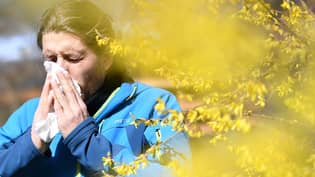 专家解释了为什么您今年的花粉症会感觉更糟“loading=