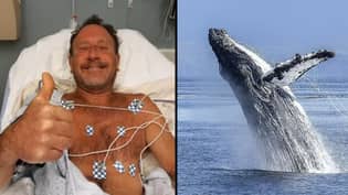 一名男子被座头鲸吞噬，描述自己身处野兽之中