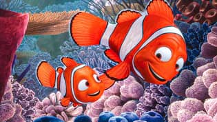 这个黑暗的发现Nemo粉丝理论是“破坏童年”“loading=