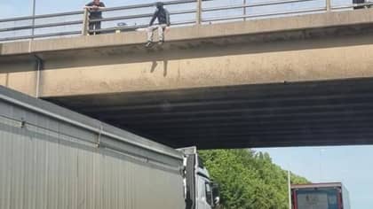 英勇的卡车司机“拯救人的生命”，通过在高速公路桥下停下来