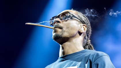 新史努比·杜格（New Snoop Dogg）歌词暗示他用巴拉克·奥巴马（Barack Obama）抽大麻