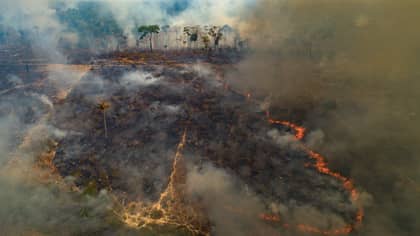 亚马逊雨林“被谴责遭到破坏”，大火迅速增加