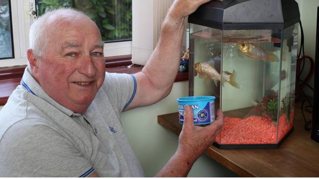 1974年获得诺贝尔奖的英国最长寿的金鱼去世，享年44岁