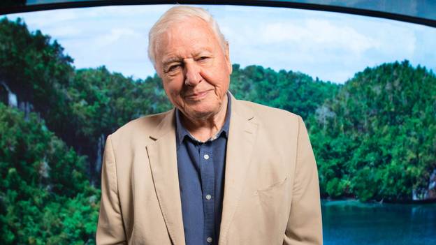 David Attenborough爵士写回四岁的询问人类是否会灭绝