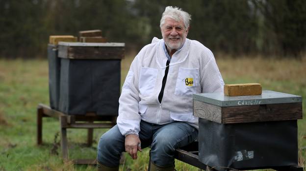 养蜂人告诉1500万只他订购的蜜蜂可能会因为英国脱欧而被杀死