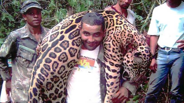 牙医在“非法杀死1000名受保护的美洲虎”后被捕