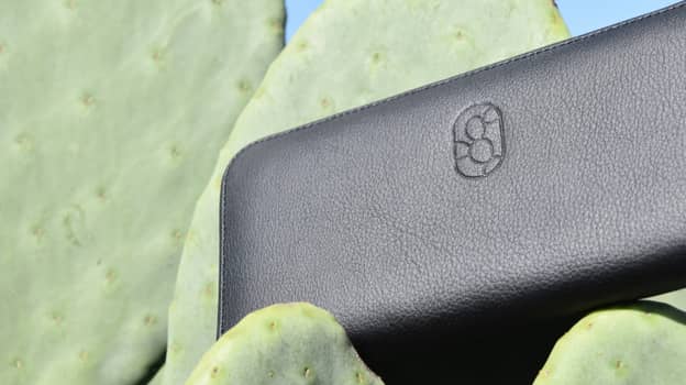 墨西哥企业家用仙人掌植物制作纯素皮革