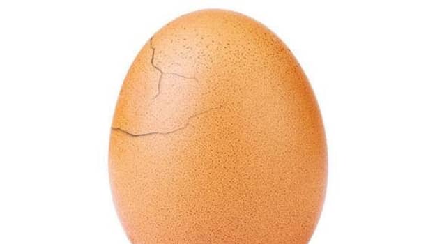 拥有鸡蛋的世界纪录已经开始破裂，每个人的卵