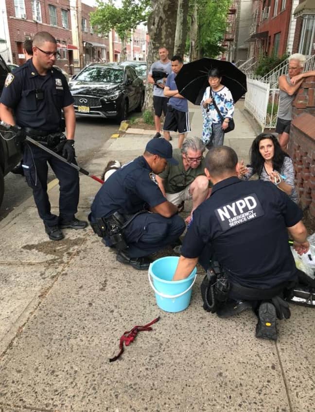 学分：Twitter/NYPD特别行动