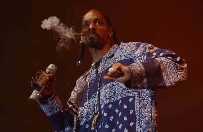 史努比·杜格（Snoop Dogg）支付了一笔英俊的薪水，以使他的直率按需。学分：PA