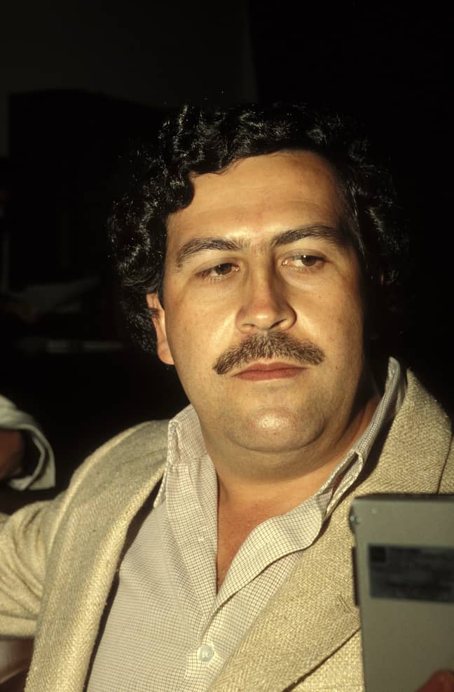 1988年的Pablo Escobar。信贷：PA