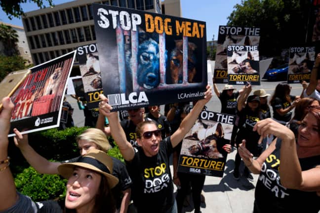 抗议者反对洛杉矶的狗肉贸易。信用：PA