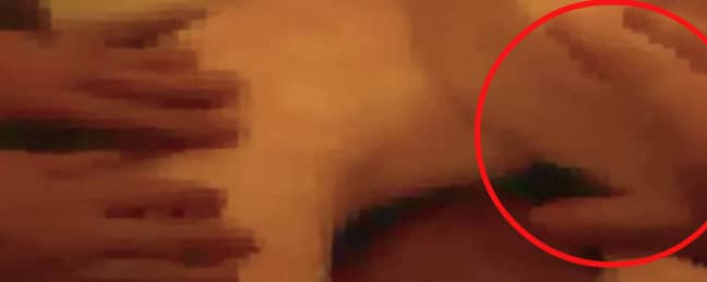 玛格诺塔（Magnotta）的猫杀伤视频中的第三只手（圆圈）。信用：Netflix