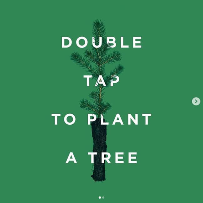 Tentree树现在是有史以来最喜欢的第四张图片。信用：Instagram