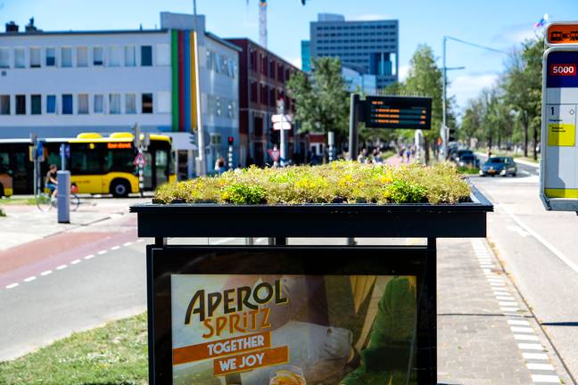 Utrecht成为第一个在2019年推出雄心勃勃的生态友好项目的城市。信用：提供“width=
