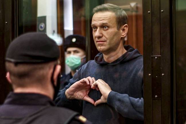 Alexei Navalny被判处三年徒刑。信用：PA“width=