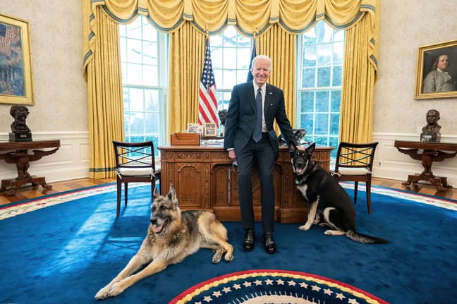 现任美国总统乔·拜登（Joe Biden）。信用：Alamy
