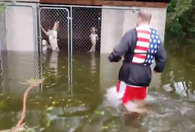 飓风佛罗伦萨期间，救援人员正在抢救被遗弃的狗。信贷:表“断裂”