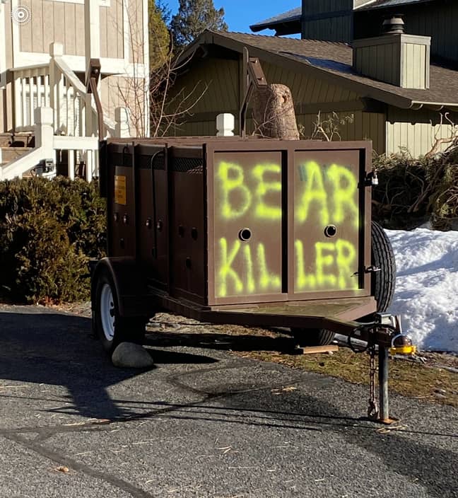 一些当地人坚定地反对诱捕和杀死熊。信用：熊联盟