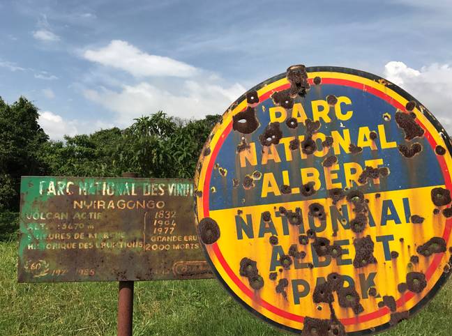 Virunga国家公园，以前被称为Albert国家公园。信贷:爸爸”loading=