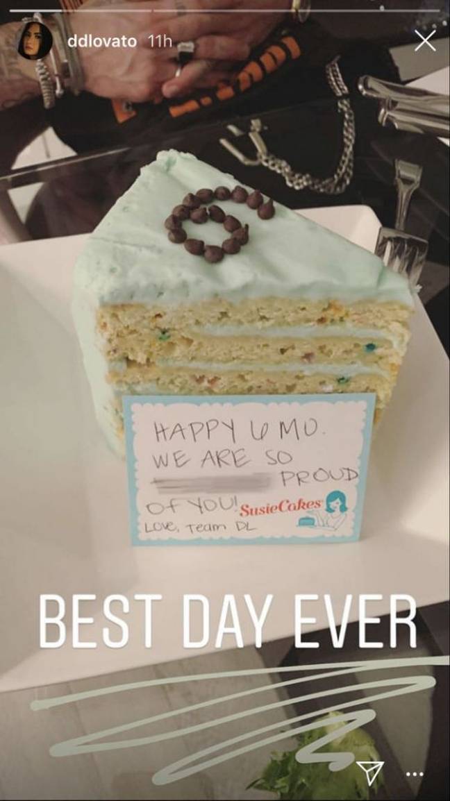 来自Demi Lovato的团队的庆祝蛋糕。信用：Instagram.