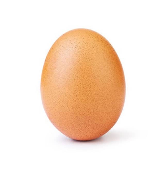 创纪录的鸡蛋。信用：Instagram