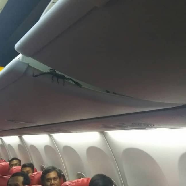 乘客拍摄了奇异事件并在线分享。信用：病毒式压力