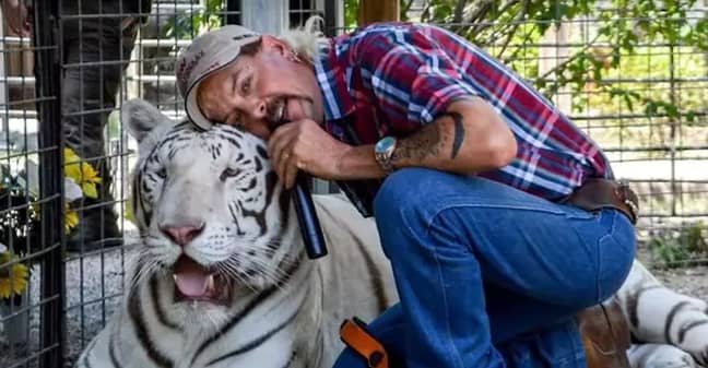 一名军官认为老虎·金（Tiger King）出来后，大猫在大脑上。信用：Netflix