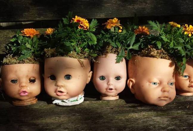 约克镇花店在温哥华销售娃娃的头部播种机。信用：Instagram / @ YorktownFlowershoppe