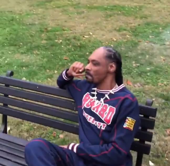 史努比·多格（Snoop Dogg）在白宫外吸烟时说：GydF4y2Ba