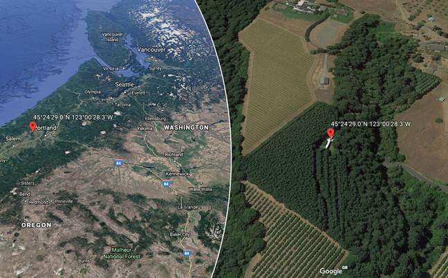 这架飞机在美国俄勒冈州附近的Google Earth附近看到。信用：Google Earth