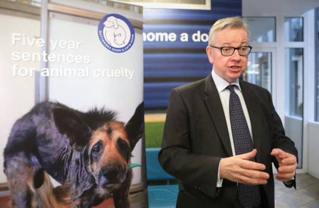 Michael Gove宣布最多为动物滥用者的五年刑罚。信用：PA