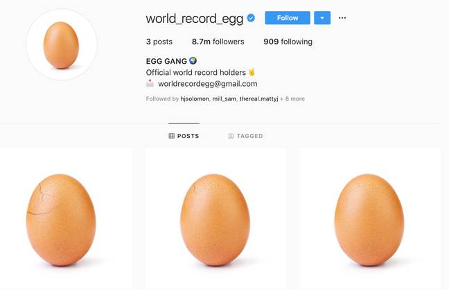 在各种破裂状态下的鸡蛋。学分：world_record_egg/instagram