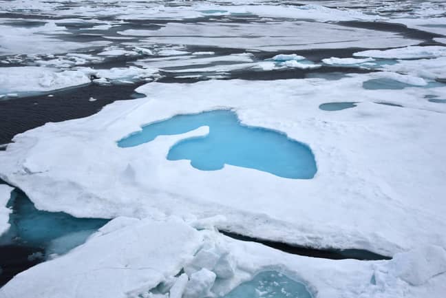 2015年在北极的北极海洋中的熔体池塘。贷方：PA“width=