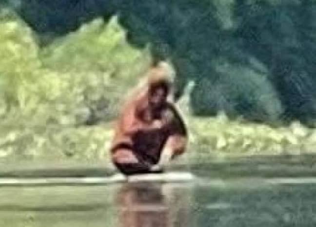 Bigfoot看起来好像在河里洗了一洗。学分：落基山Sasquatch组织