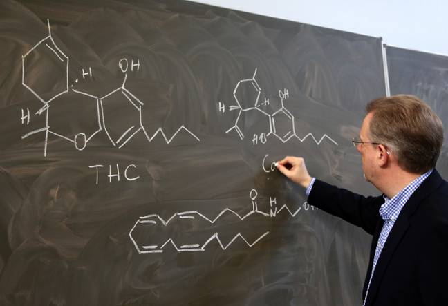 罗斯托克大学医疗中心毒理学研究所主任Burkhard Hinz，解释了大麻素的化学结构。信用：PA