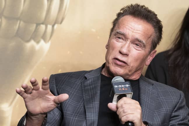 Schwarzenegger在2019年。信贷：PA“width=