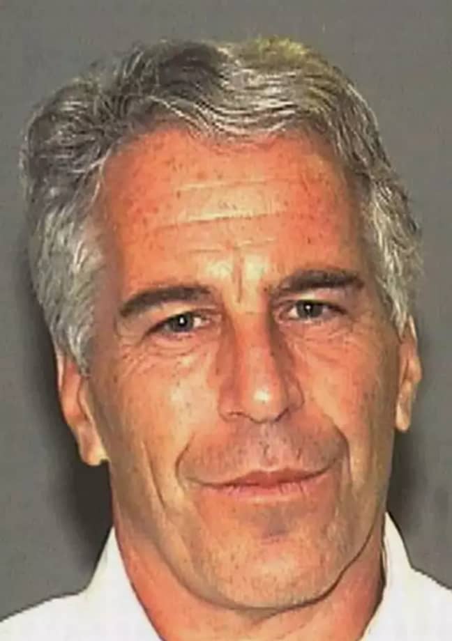 8月，杰弗里·爱泼斯坦(Jeffrey Epstein)被发现死在纽约的牢房里。信贷:爸爸