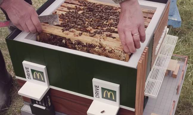 麦当劳已开设其最小的餐厅 - 实际上是一个蜂箱。信用：NordddB.