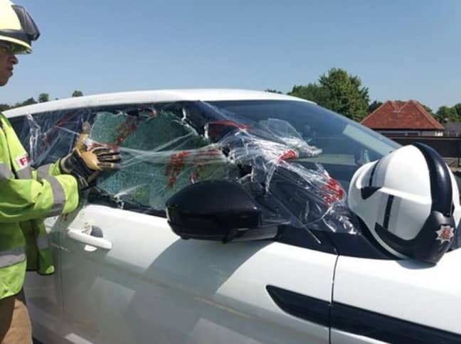 汽车的窗户被砸碎以释放贝蒂。信用：Facebook/Saffron Walden消防局