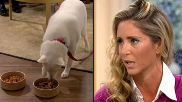 坚持她的狗的女人在国家电视上被证明是素食的
