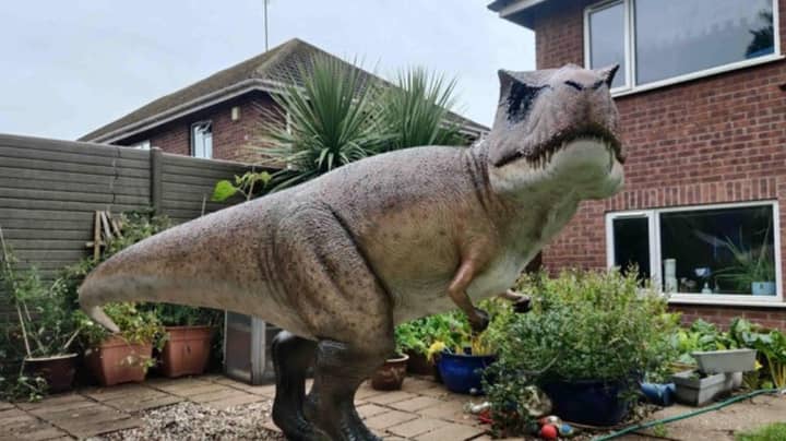 丈夫将大量的T-Rex提升到花园中，以使他的妻子感到惊讶