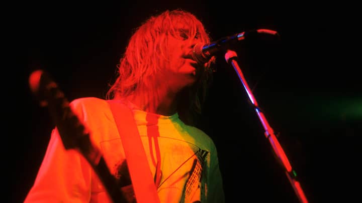 来自Nirvana的NeverMind专辑Sues Band儿童色情制品的婴儿