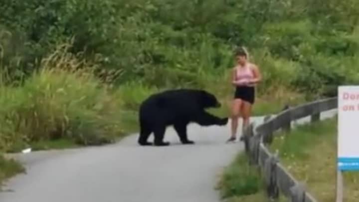 在与黑熊的亲密接触中，跑步者保持令人难以置信的平静