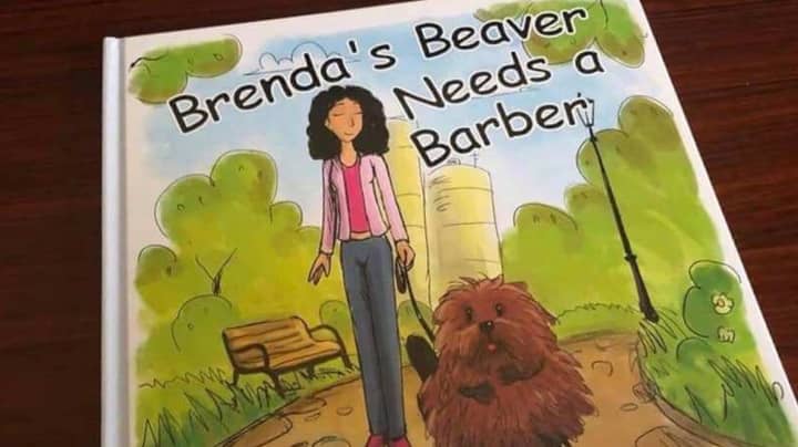 “儿童读物”布伦达海狸的歇斯底里成年人需要理发