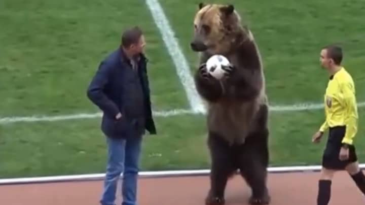 俄罗斯足球联盟批评为贝尔（Bear）