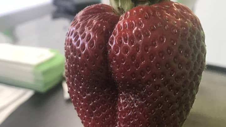 这是您见过的最性感的草莓
