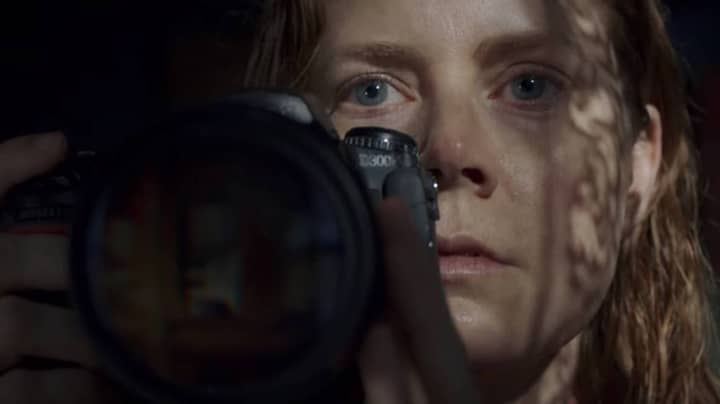 Netflix的新电影《窗中的女人》正在分割观众